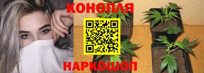 крисы Ярцево