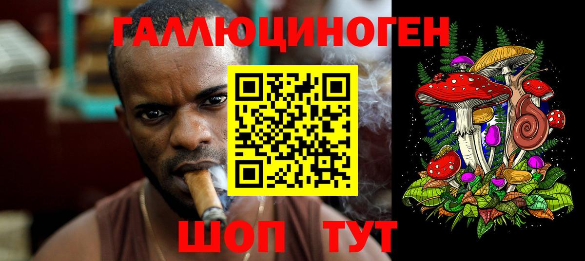Псилоцибиновые грибы мицелий  Вход с VPN  наркотики  Псилоцибиновые грибы Psilocybine cubensis  Астрахань 